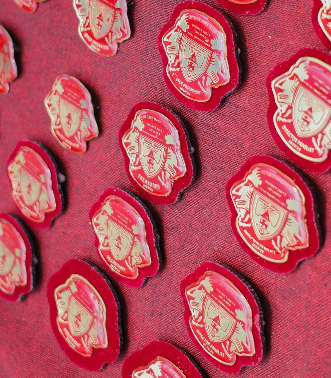 Leo Club of Ananda College members